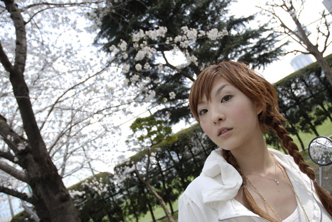 chihiro243