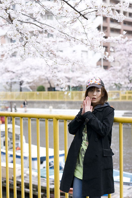 chihiro334