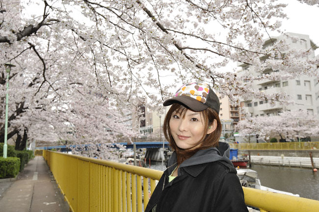 chihiro338